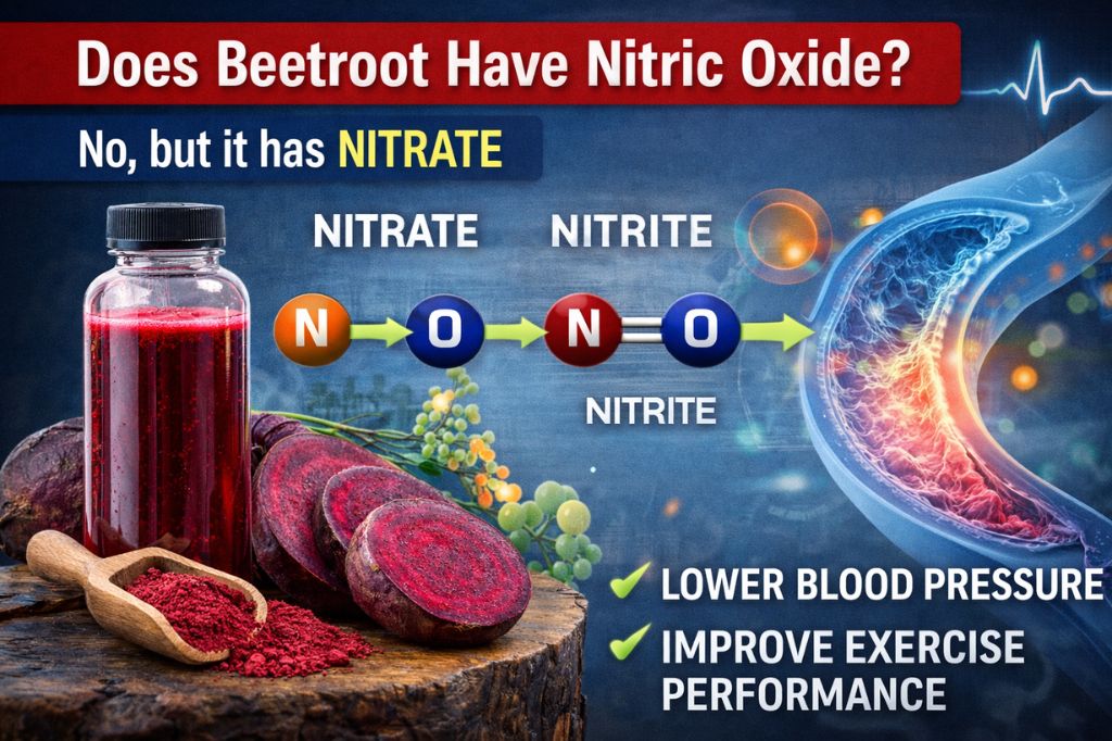 does beetroot have nitric oxide